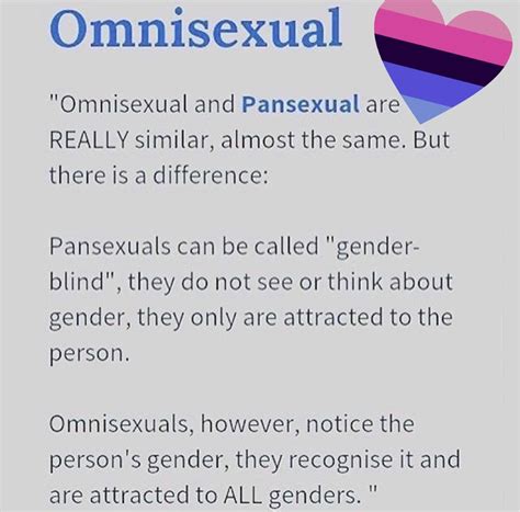 is omnisexual pansexual but with a preference|Omnisexual vs. pansexual: decoding the distinctions